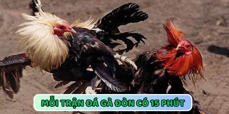 Mỗi trận kê chiến diễn ra trong 15 phút